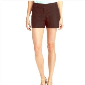 ANN TAYLOR LOFT Marisa Garden Lace Shorts